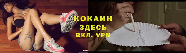 дживик Горняк