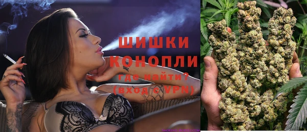 дживик Горняк