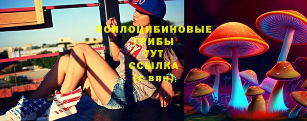 СК Горно-Алтайск