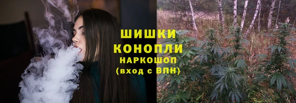 дживик Горняк