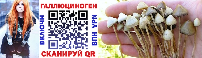 Псилоцибиновые грибы Magic Shrooms  Купить закладки  Тарко-Сале 