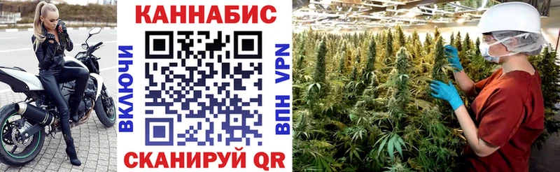 Купить  Тарко-Сале  Конопля конопля 